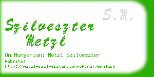 szilveszter metzl business card